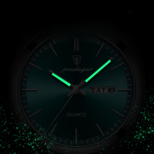 Classic Waterproof Luminous Quartz Watch